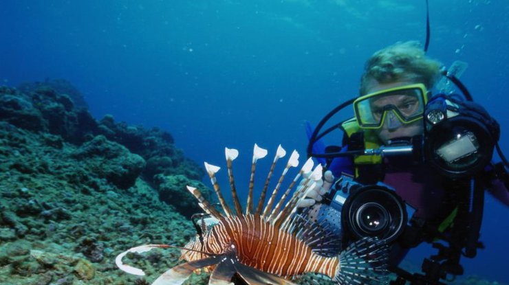 Теперь каждый желающий может отправиться в онлайн-путешествие по подводному миру