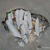 В Одессе яму "залатали" мусором и шифером (фото)
