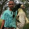 В США охотник поймал лягушку-монстра весом 6 килограммов (фото) 
