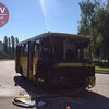 В Киеве водитель маршрутки "влетел" в автобус с пассажирами (фото) 