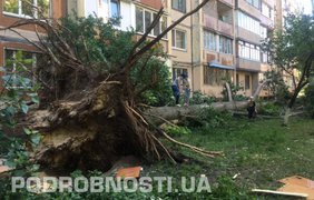 Последствия урагана в Киеве 