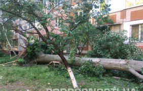 Последствия урагана в Киеве 
