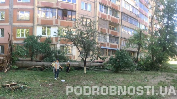 Ураган в Киеве