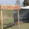 Село на Волыни завалили остатками мертвых животных (видео)