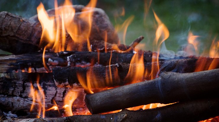 В Харьковской области ребенок погиб в огне костра 