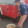 Донбассу грозит чрезвычайная ситуация из-за воды