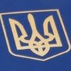 Боевики портят украинские паспорта отметками ЛНР - ОБСЕ