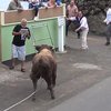 Жуткое видео: бык поднял на рога снимавшего на iPad прохожего 