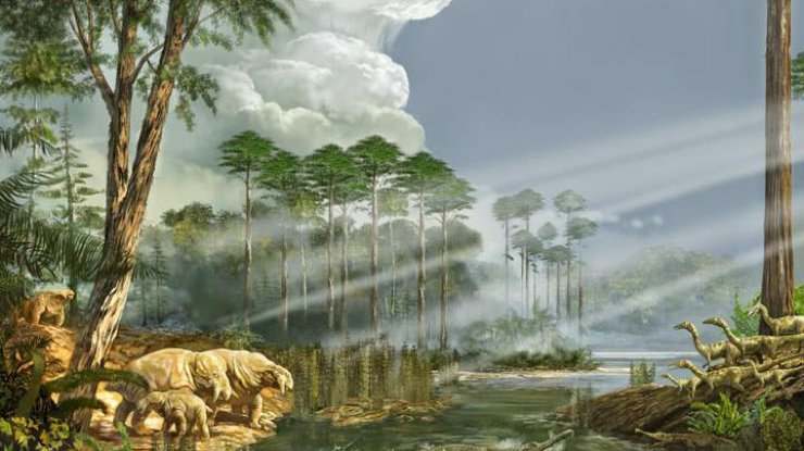 Фото: http://paleontologia-y-evolucion-ucm.blogspot.com