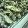 В Киеве продажу рыбы никто не приостановил