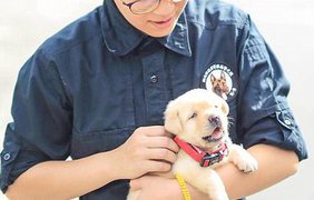 В Тайване появился самый милый полицейский в мире