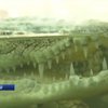 У Хмельницькому волонтери рятують крокодила від знущань (відео)