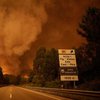 В Португалии число жертв при лесном пожаре растет 