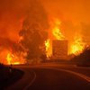 В Португалии во время лесных пожаров 20 человек сгорели заживо