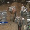 У Китаї відновлювати легендарний мур залучили коней