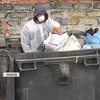 Садовой разрешил губернатору убирать мусор во Львове (видео)