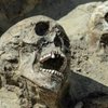 В Польше обнаружили "кричащие" черепа (фото) 