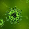 Бактерии будут уничтожать вирусами - ученые