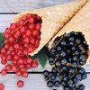 Красная и черная смородина: какая ягода полезнее