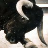 Страшное видео: парень удрал от трех разъяренных быков 