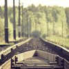 В Днепропетровской области поезд сбил женщину