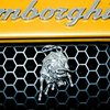 Lamborghini займется созданием медицинских протезов