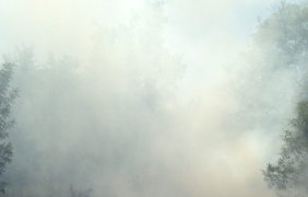 Запорожскую Сечь на Хортице подожгли (фото, видео)