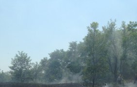 Запорожскую Сечь на Хортице подожгли (фото, видео)