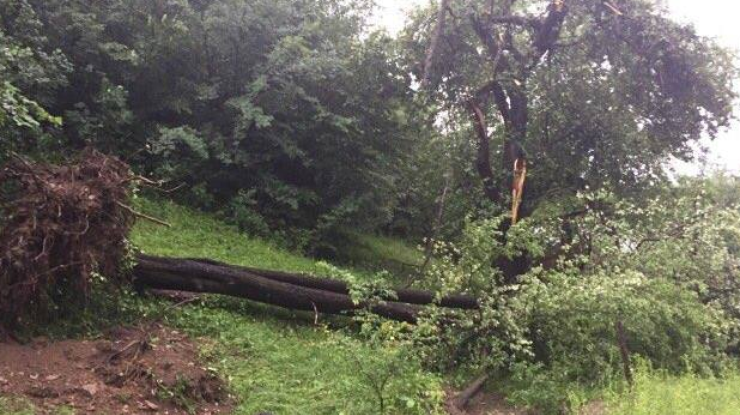 Ураган на Закарпатье сорвал крыши домов и валил деревья