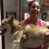 Приседай с собакой: в сети набирает популярность флешмоб (видео)