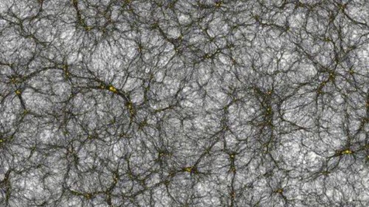 Фото: phys.org