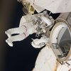 Грибы угрожают космическим миссиям - NASA 