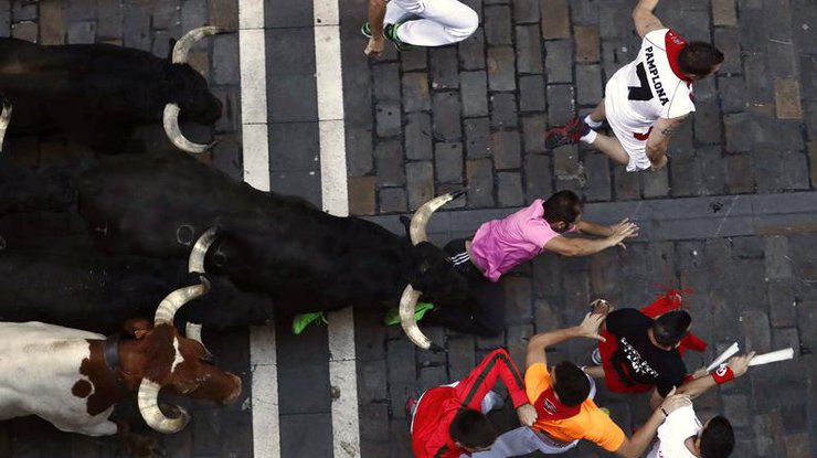 В Испании на фестивале быки ранили шестерых человек