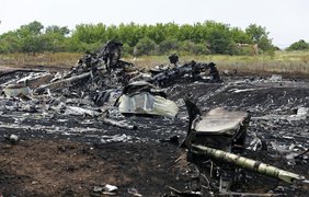 Крушение MH17: самые ужасающие фото трагедии 