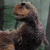 Ученые открыли новый вид динозавров (фото) 