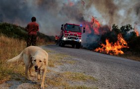 Португалия снова объята пожарами (фото)