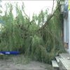 Непогода в Украине: в Сумах повреждены дома и повалены деревья