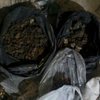В Луцке в ходе обыска изъяли 50 килограмм янтаря 