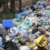 Во Львове будут каждый месяц отчитываться о вывозе мусора