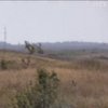 В зоні АТО за добу загинули 5 українських військових 