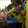 У Таїланді в океан одночасно випустили понад тисячу черепах