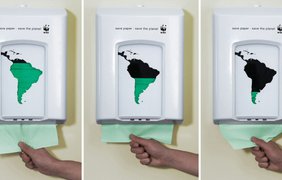 Фото: WWF. Сохрани бумагу - сохрани планету