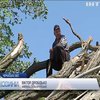 На Черкащині після буревію без електрики залишилися 70 населених пунктів