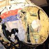 Катастрофа MH17: Украина окажет помощь Нидерландам