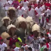 В Іспанії бики травмували двох учасників фестивалю Сан-Фермін