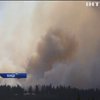 В Канаде из-за лесных пожаров объявили срочную эвакуацию