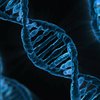 Ученые вживили в ДНК компьютерный вирус