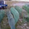 На Миколаївщині затримали браконьєрів з уловом на 5 мільйонів гривень (відео)