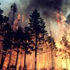 Погода в Украине: в 14 областях объявлена высокая пожарная опасность