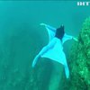 Француз створив підводний костюм із крилами